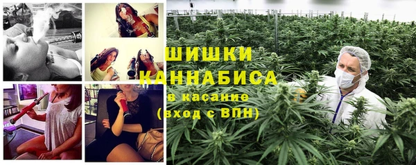 ГАЛЛЮЦИНОГЕННЫЕ ГРИБЫ Сафоново