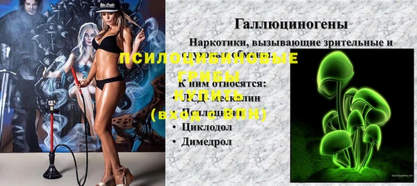 стафф Пересвет