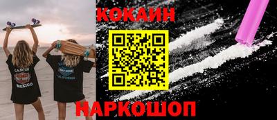 крисы Камышлов