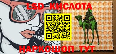 крисы Камышлов