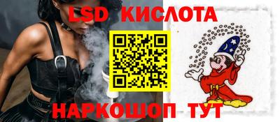 крисы Камышлов