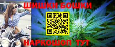 крисы Камышлов