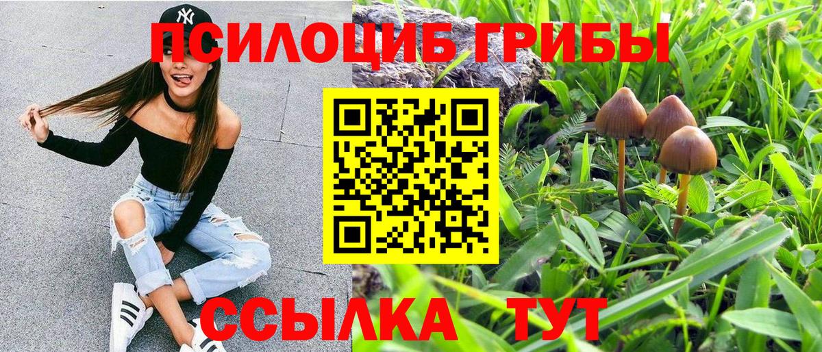 Прохладный  Псилоцибиновые грибы ЛСД  Псилоцибиновые грибы Psilocybine cubensis  купить  сайты  Вход с VPN 