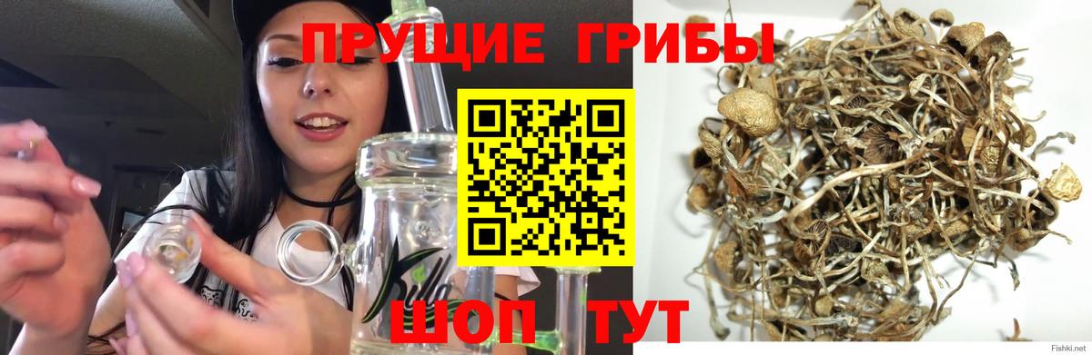 Галлюциногенные грибы Magic Shrooms Прохладный