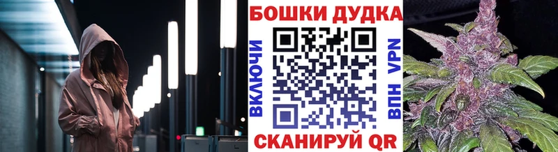 Канабис SATIVA & INDICA  Прохладный 